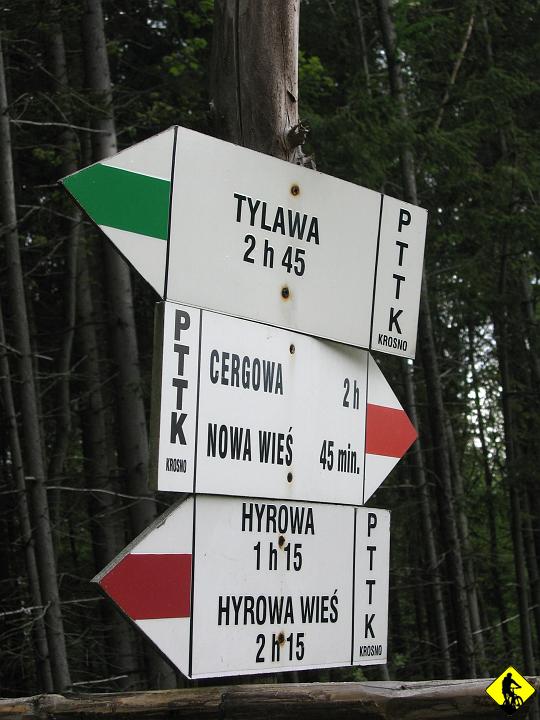 fot 059.jpg - Kierunek: Cergowa- najwyższy szczyt w tych okolicach. Gdzieś na sieci przeczytałem, że jak ktoś lubi porządną prace to może spróbować go zdobyć. Dwie rzeczy mnie zastanowiły: porządna praca i spróbować...